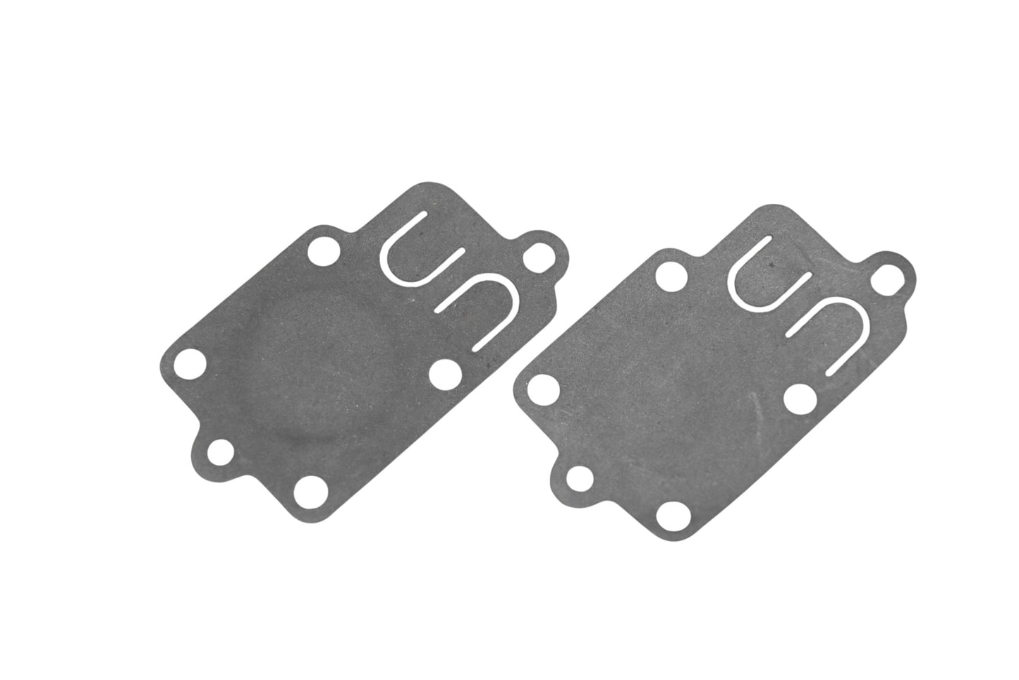 Rotary 22-1425 Diaphragm Gaskets Qty 2 NOS