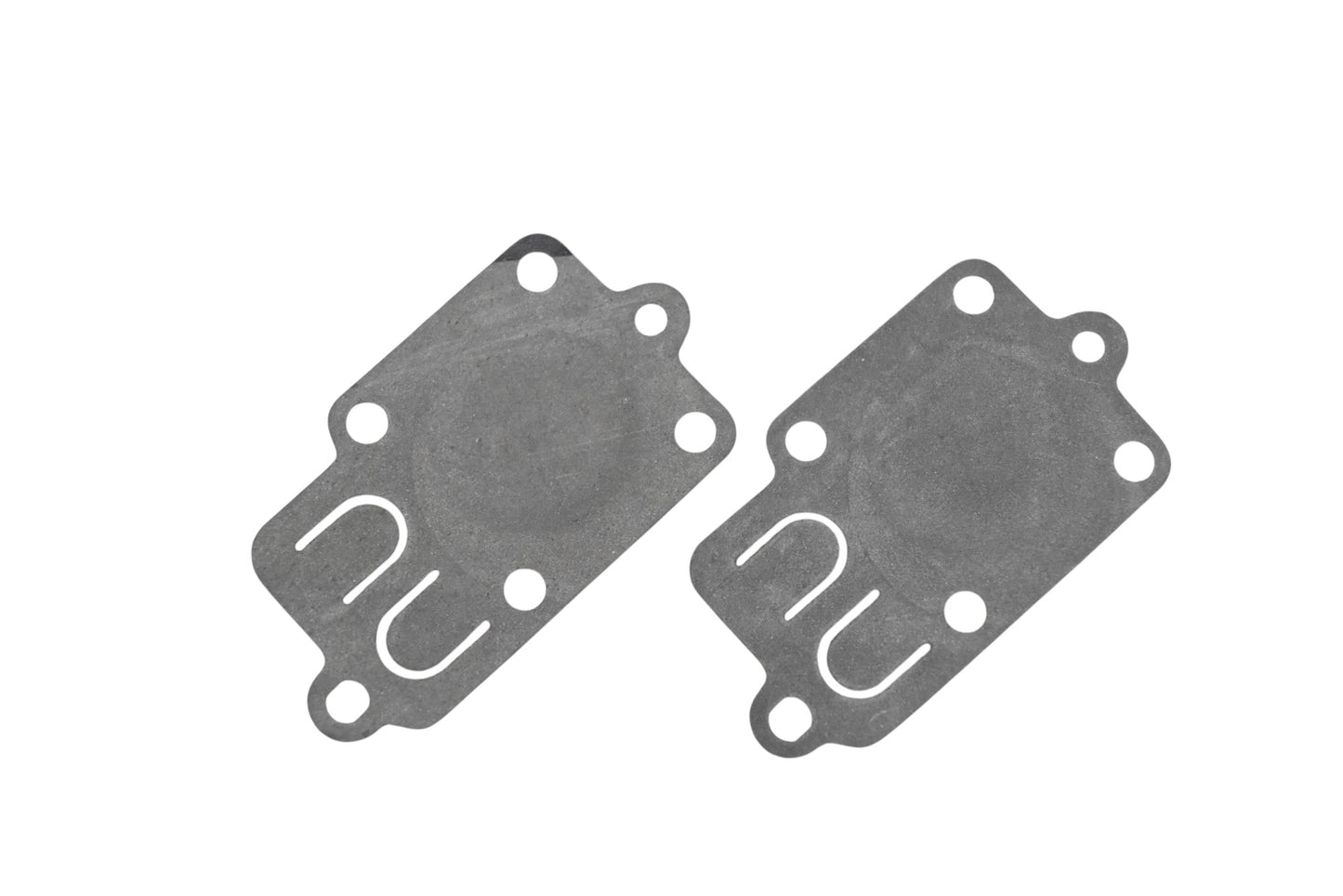 Rotary 22-1425 Diaphragm Gaskets Qty 2 NOS