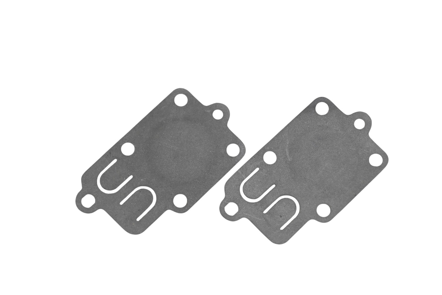 Rotary 22-1425 Diaphragm Gaskets Qty 2 NOS