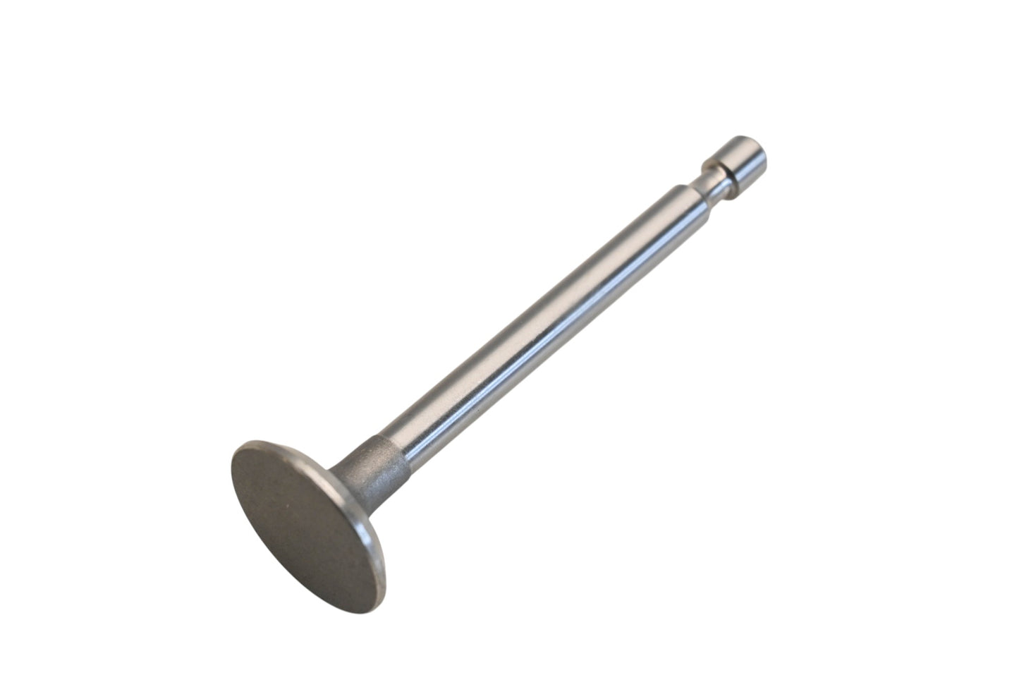 Rotary 29-1521 Exhaust Valve NOS