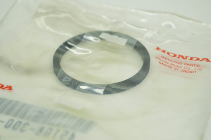 Piston Seal NOS