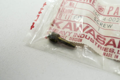 OEM Kawasaki 16014-002 Air Adjusting Pilot Screw NOS