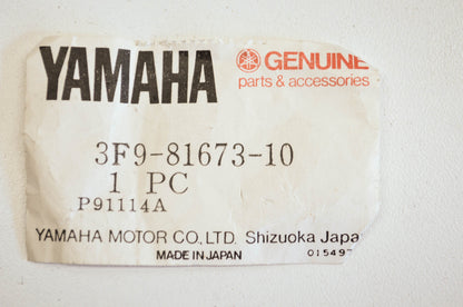OEM Yamaha 3f9-81673-10-00 Rotor NOS