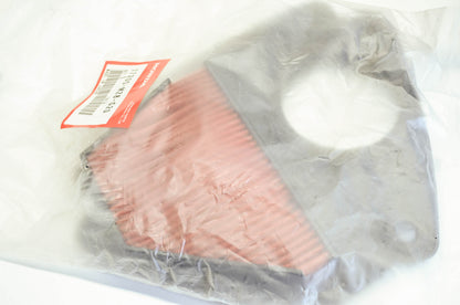 OEM Honda 17205-mz8-g20 Air Cleaner Element NOS