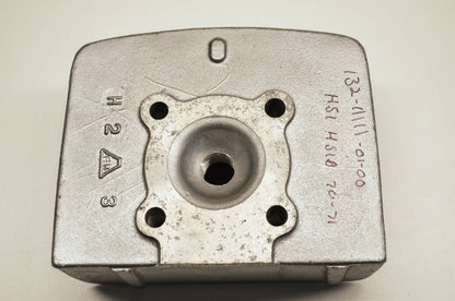 OEM Yamaha 132-11111-01-00 Cylinder Head 1 NOS