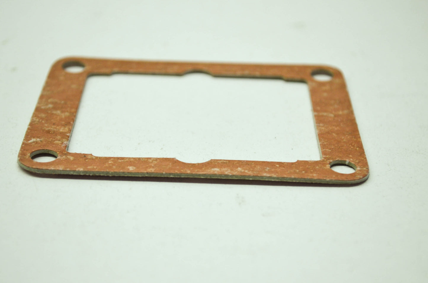 OEM Kawasaki 11009-3731 Reed Valve Gasket NOS