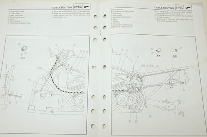OEM Yamaha LIT-11616-15-05 YFS200P-S Service Manual Supplement
