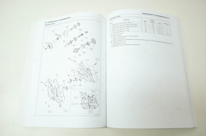 OEM Kawasaki 99924-1429-31 Service Manual KLX110C/D