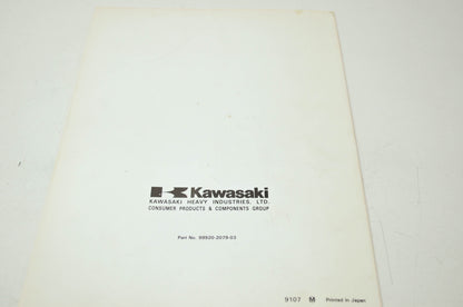OEM Kawasaki 99920-2079-03 Portable Generator Owner's Manual