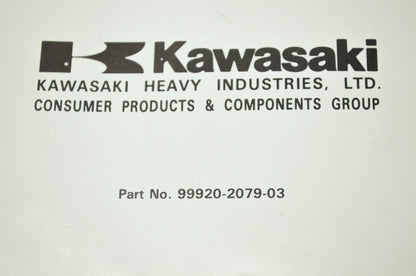 OEM Kawasaki 99920-2079-03 Portable Generator Owner's Manual
