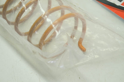 NEW EPI Clutch Spring PDS2 NOS