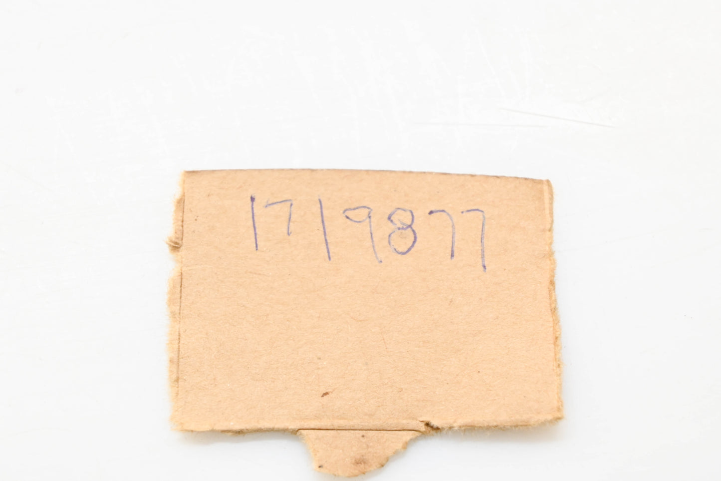 Bolens 1719877 Oil Seal NOS