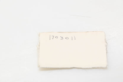 Aftermarket 1703011 Internal Cotter Pin NOS