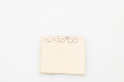 Ariens 06420900, 6420900 Washers Qty 2 NOS