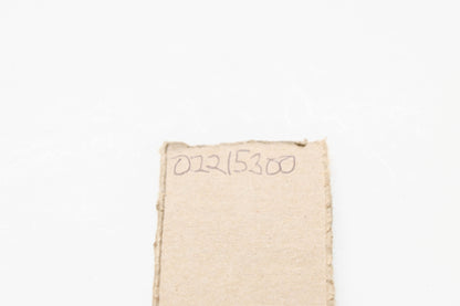 Ariens 02215300, 2215300 Push Nut NOS