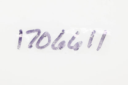 Bolens 170-6611, 1706611 Dust Seal NOS