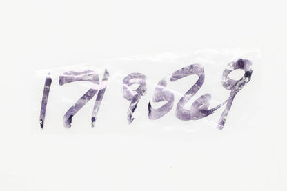 Bolens 171-9569, 1719569 Brake Pad Rivet NOS