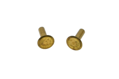 Bolens 118-5570, 1185570 Rivets Qty 2 NOS