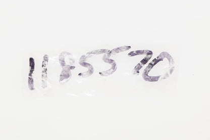 Bolens 118-5570, 1185570 Rivets Qty 2 NOS