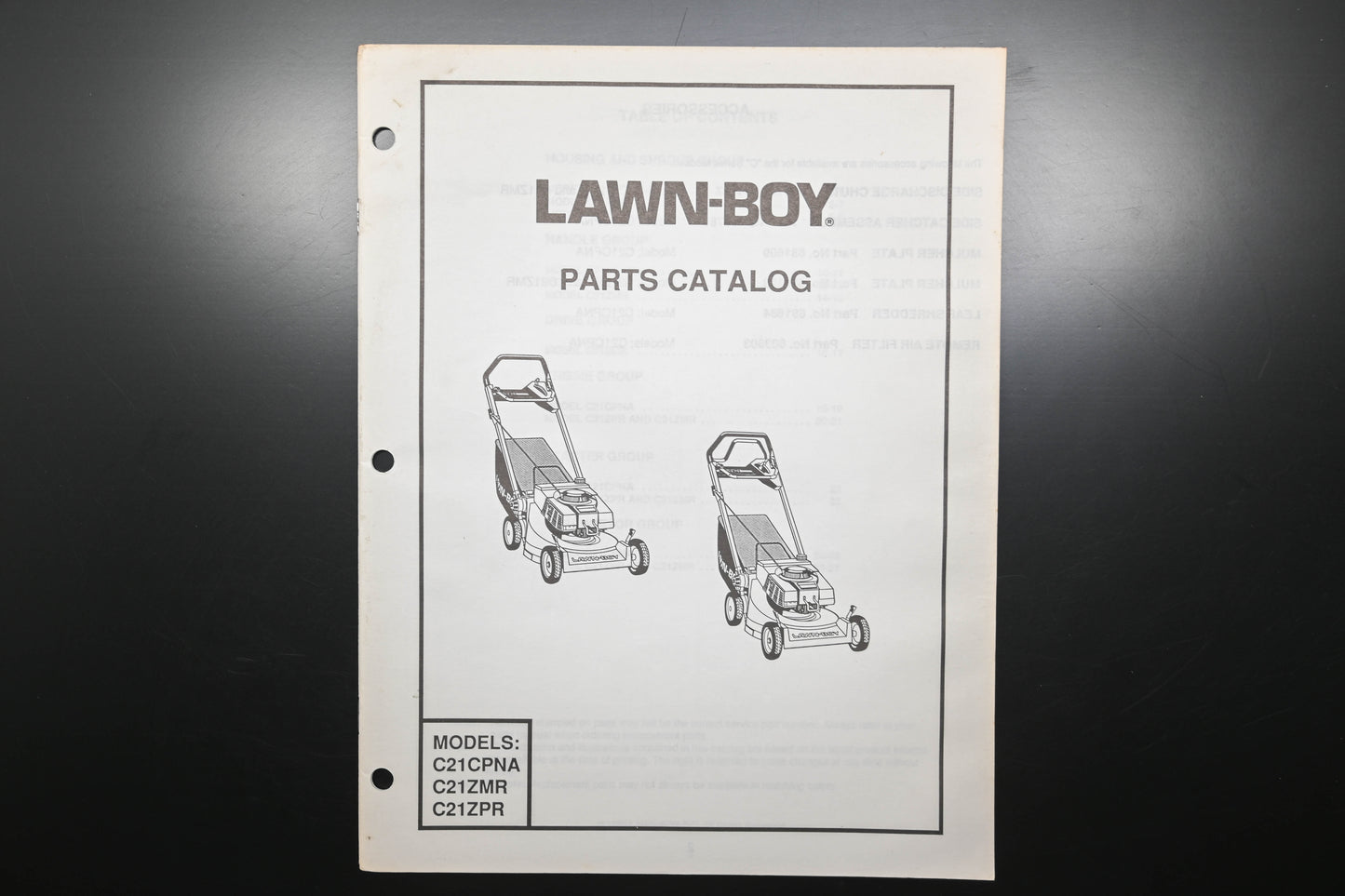 Lawn-Boy E008160 C21CPNA C21ZMR C21ZPR Parts Catalog
