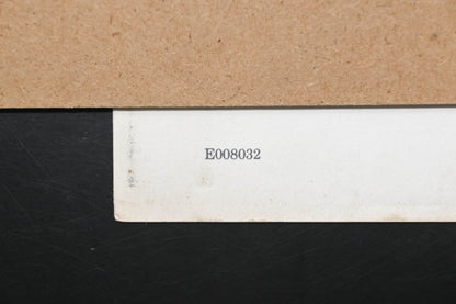 Lawn-Boy E008032 79 Deluxe Mower Parts Catalog