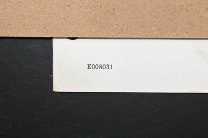 Lawn-Boy E008031 79 Mower Parts Catalog