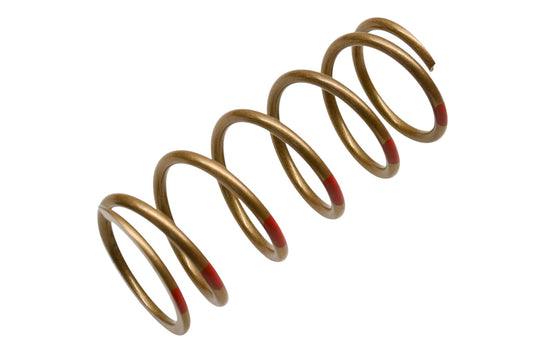 SLP 40-468 Gold/Red 165/250 Driven Clutch Spring NOS
