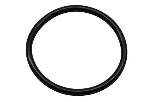 LC 30-1281 Jug O-Ring NOS