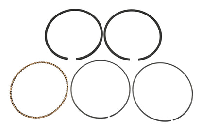 Rotary 23-11302, 13010-ZF6-003 Piston Ring Kit NOS