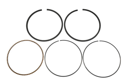 Rotary 23-11302, 13010-ZF6-003 Piston Ring Kit NOS