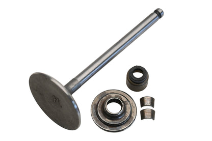 New OEM Briggs & Stratton 791935 Intake Valve Kit NOS