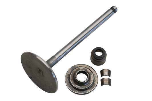 New OEM Briggs & Stratton 791935 Intake Valve Kit NOS