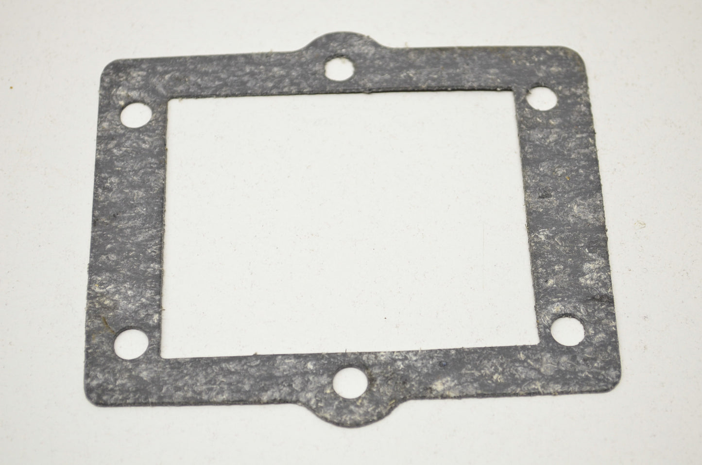 Valve Seat Gasket NOS