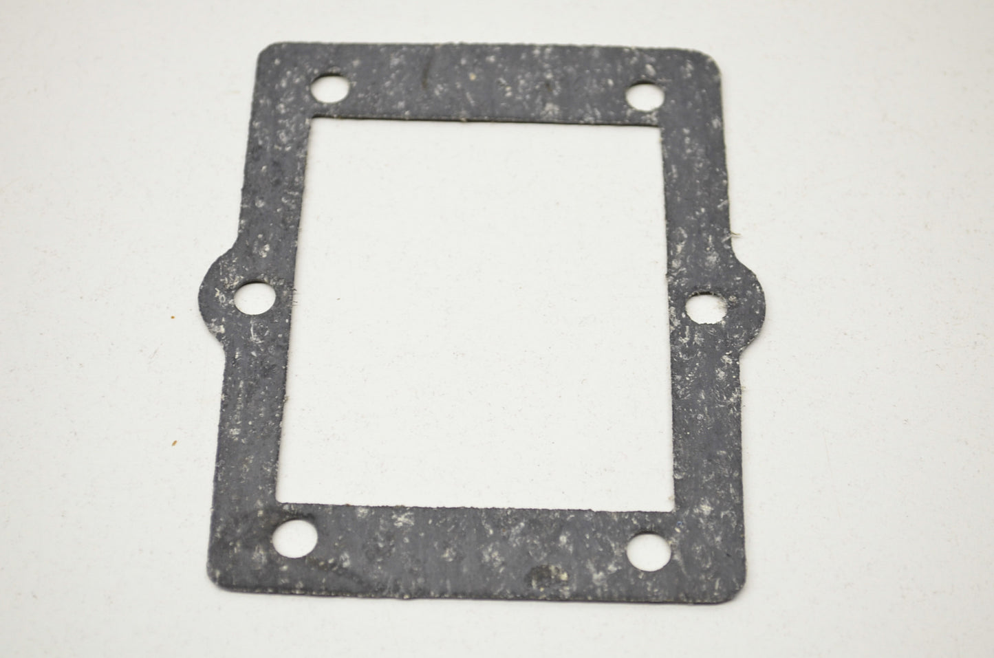 Valve Seat Gasket NOS