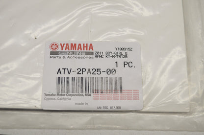 Graphic Kit 13 Raptor 125 NOS