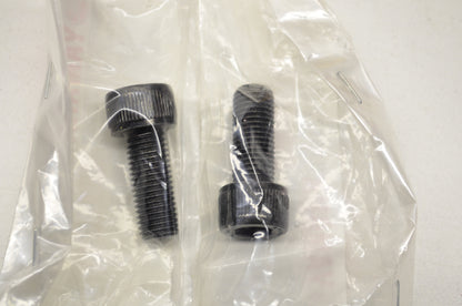 OEM Yamaha 91317-10025-00 Bolt Qty 2 NOS