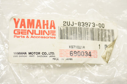 Handle Switch 3 NOS