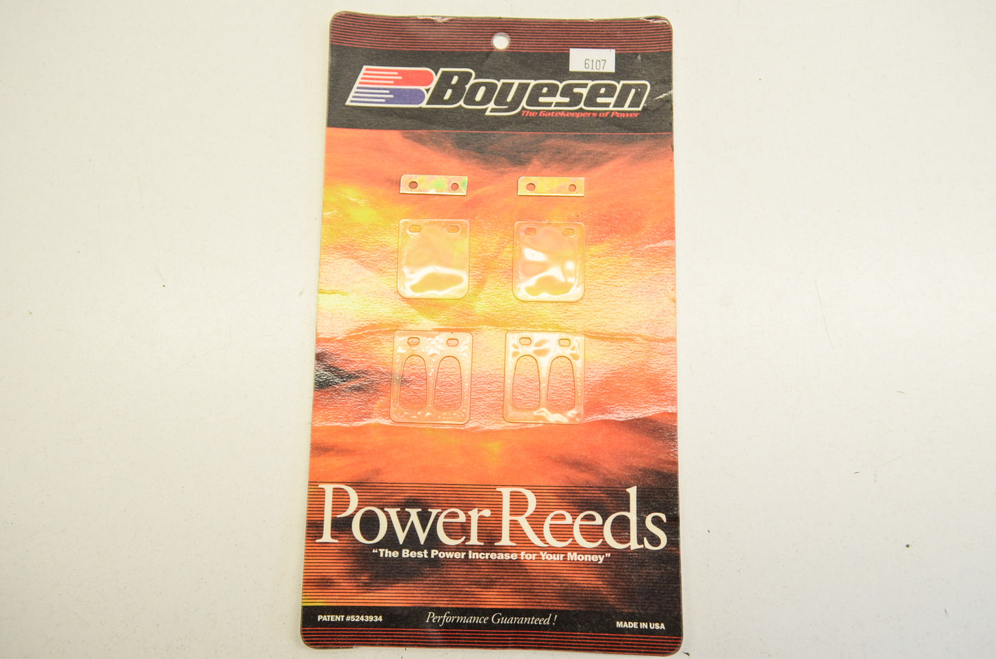 New Boyesen Power Reed Kit NOS