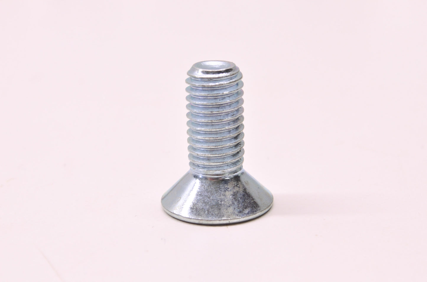New OEM Buell Rear Brake Rotor Screw NOS
