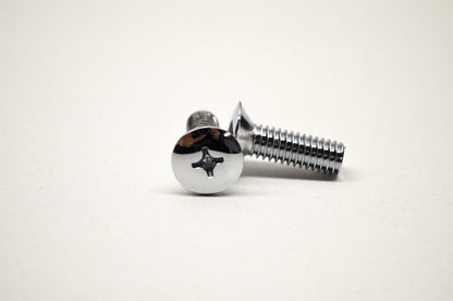 Chrome Screws Qty 2 NOS