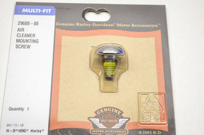Air Cleaner Mounting Screw NOS