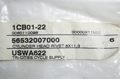 Cylinder Head Rivets Qty 6 NOS