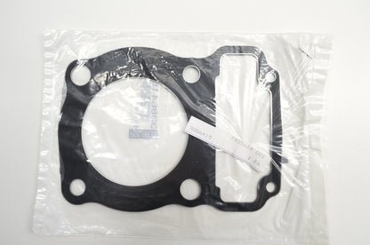 Head Gasket NOS