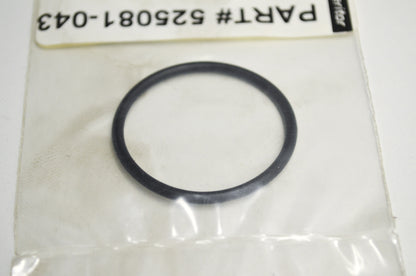 Cylinder Head O-Ring NOS