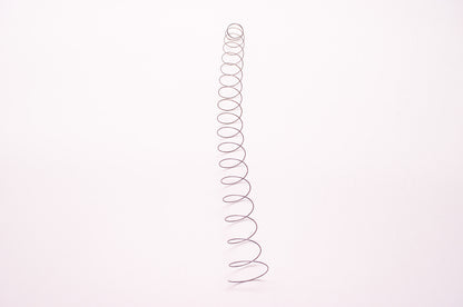 New OEM Echo Compression Spring