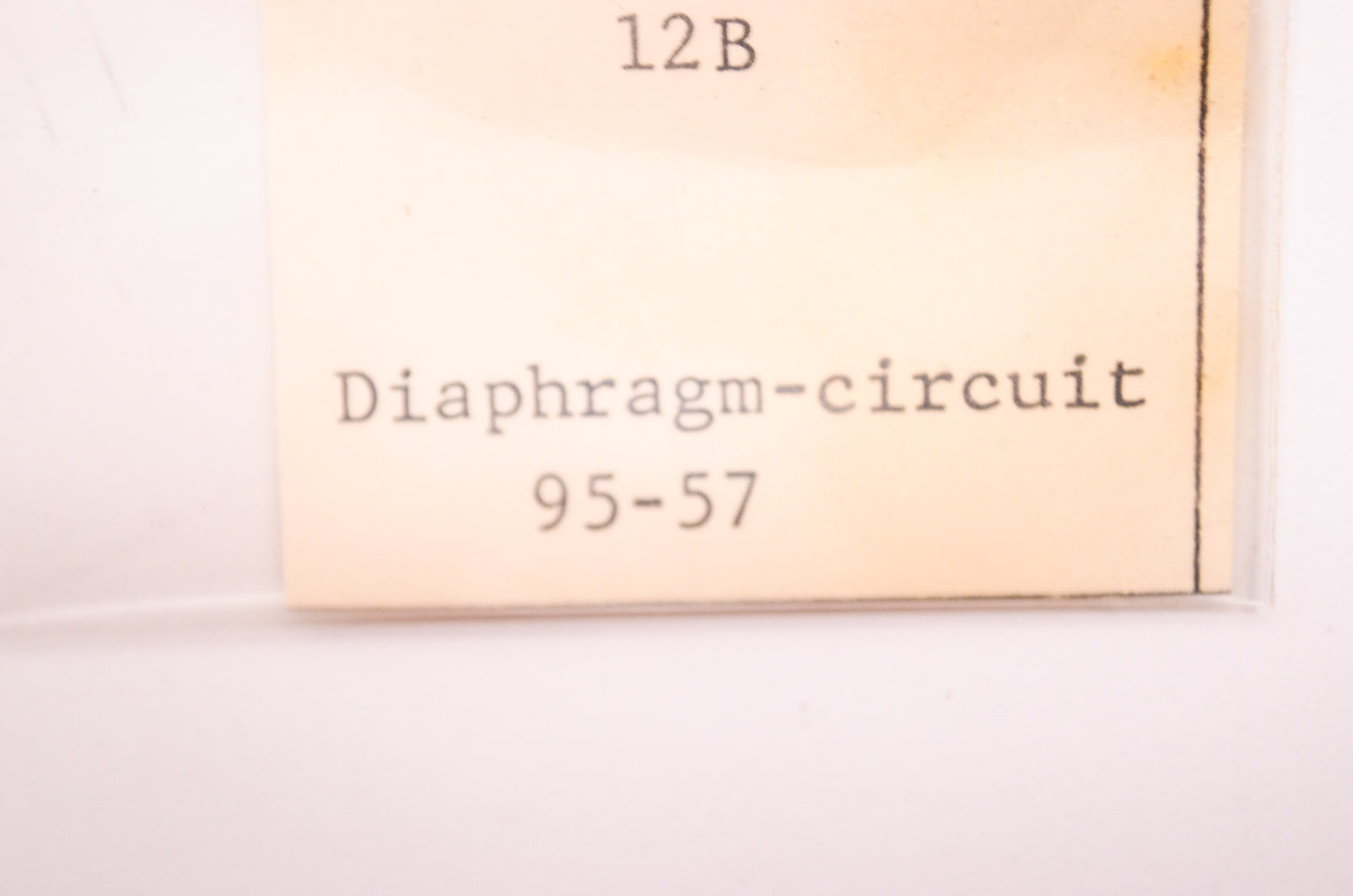 New Walbro Circuit Gasket 12B NOS