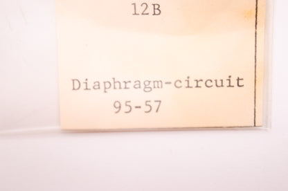 New Walbro Circuit Gasket 12B NOS