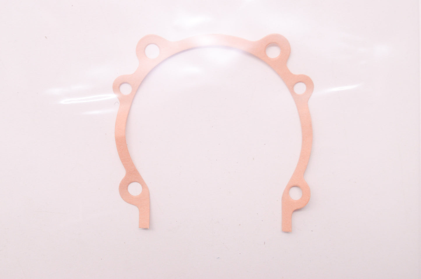 New OEM Echo Gasket
