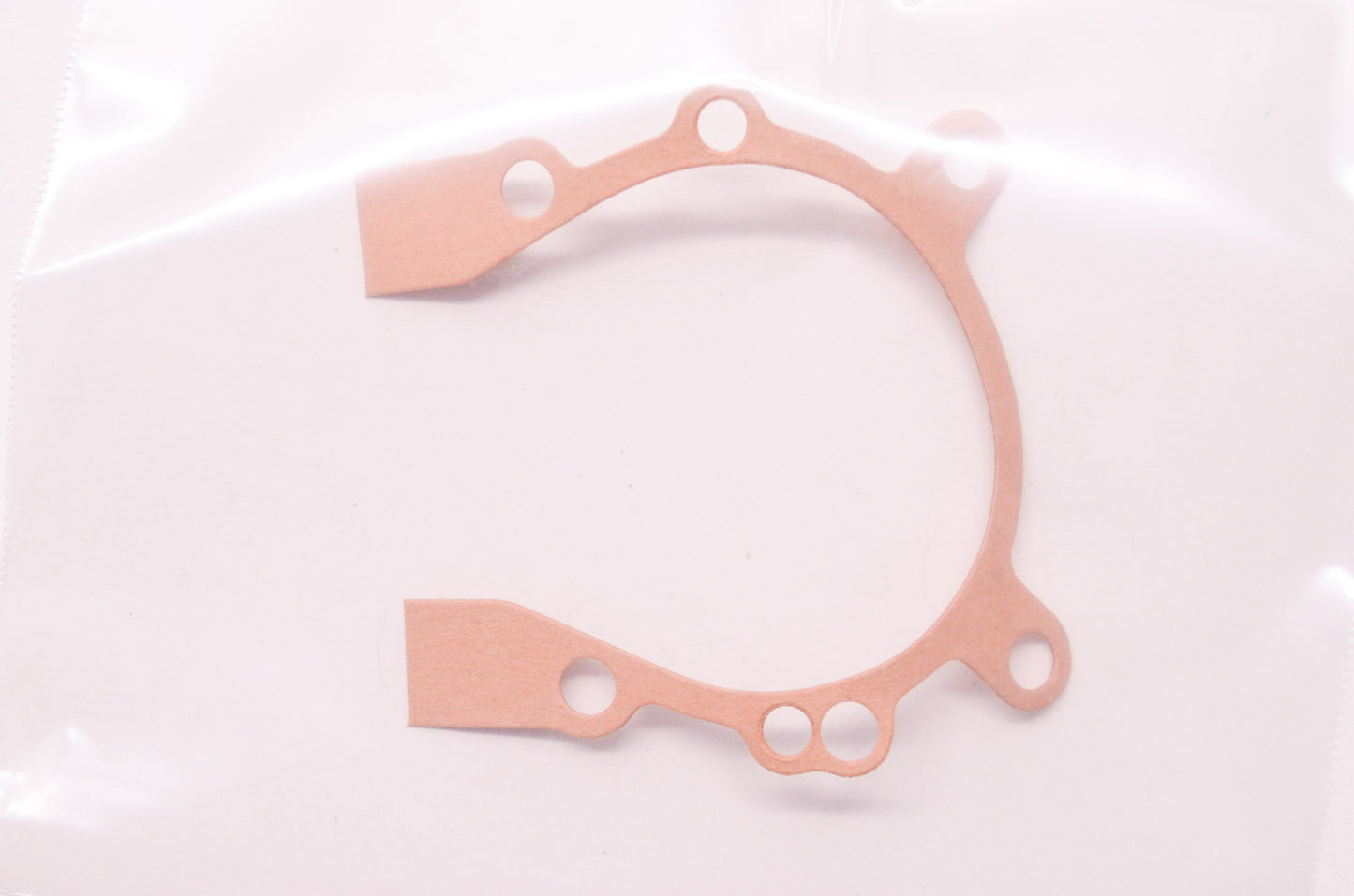 New OEM Echo Gasket