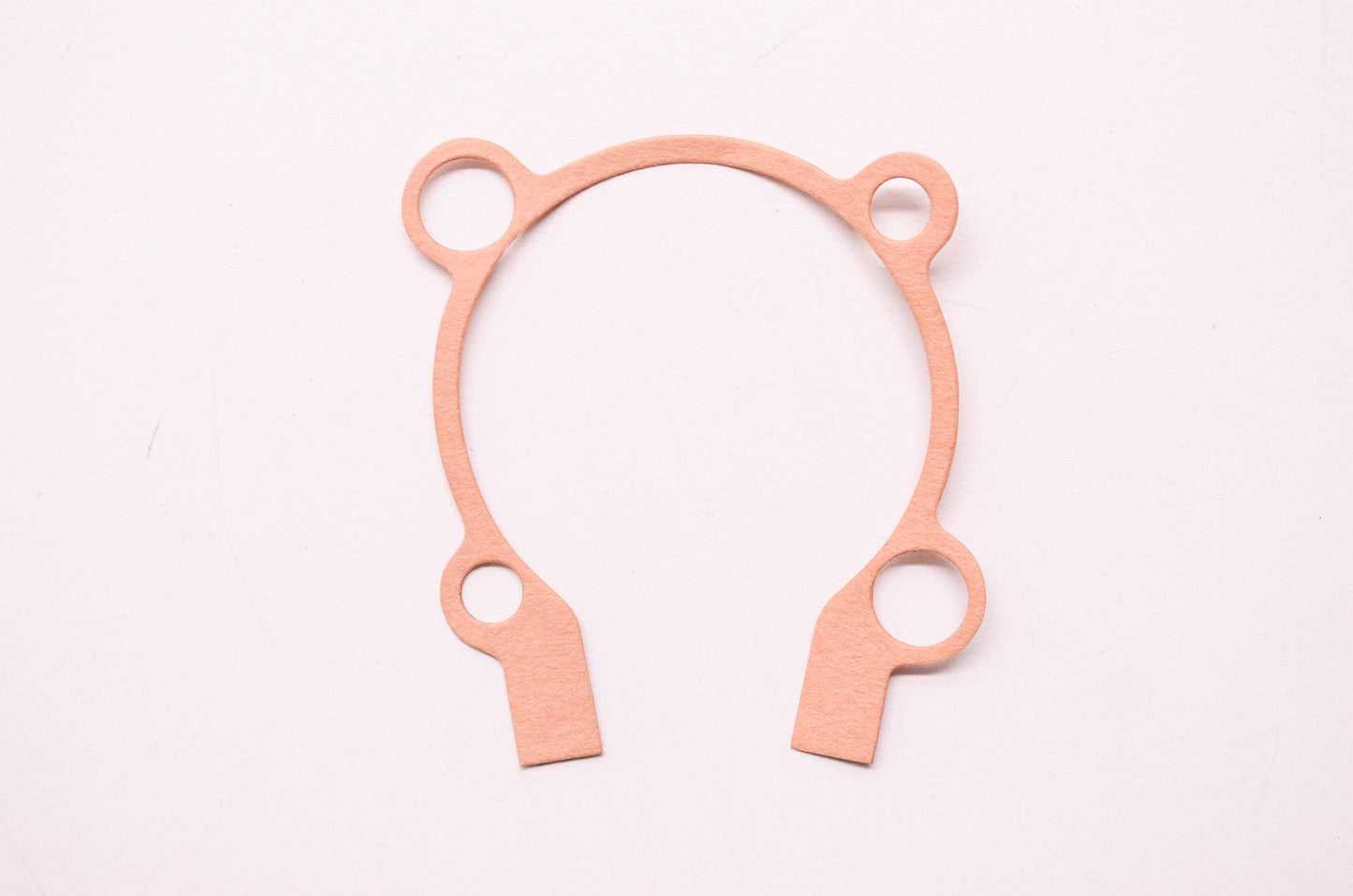 New OEM Echo Gasket